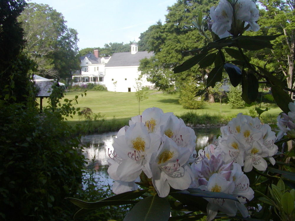 Arabian Horse Inn Sudbury المظهر الخارجي الصورة