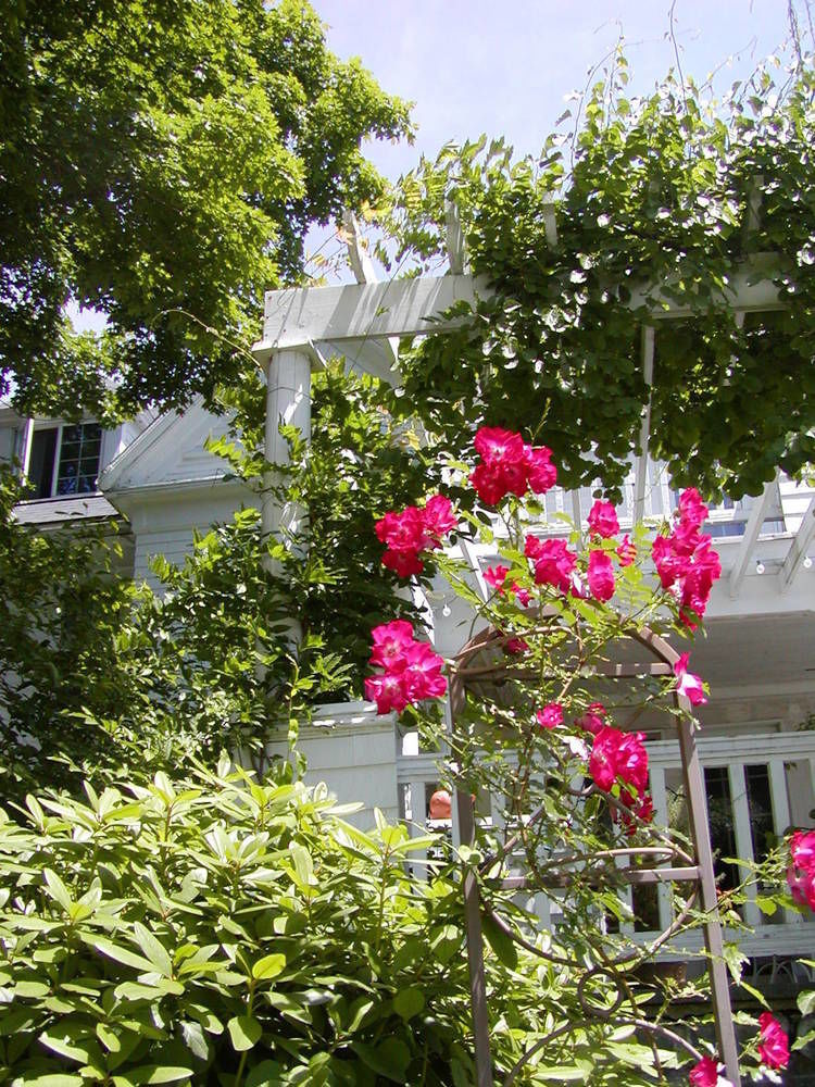 Arabian Horse Inn Sudbury المظهر الخارجي الصورة
